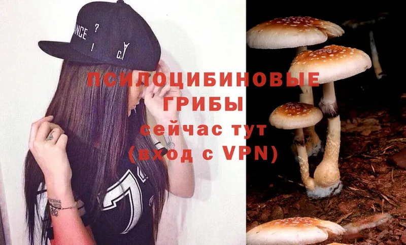 Галлюциногенные грибы Cubensis Дмитровск